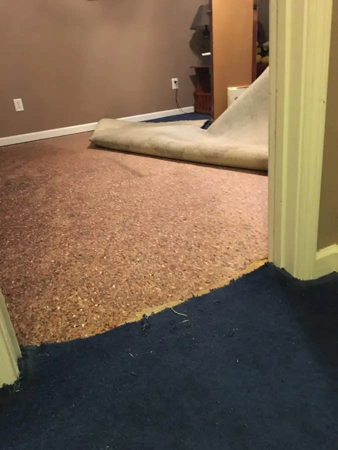 Carpet pad removal revealing water damage during Water Mitigation Services in Dade City