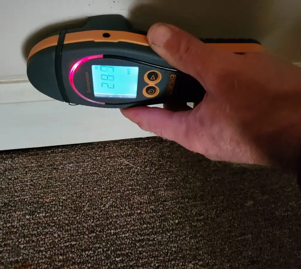 Moisture detection at baseboard during Sewage Cleanup & Sanitation in Dade City